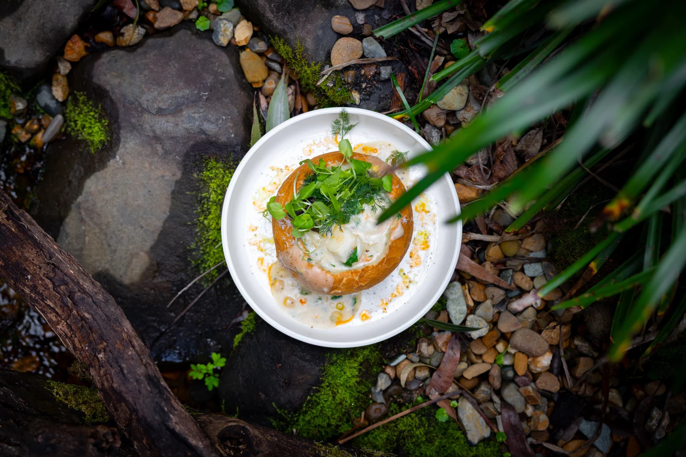 An overhead view of a plated dish framed by leaves and natural stone at Daisy’s Place.